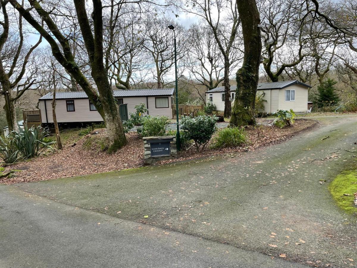 Snowdonia Holidays Caravan Hire - Aberdunant Park - 111 Silver Birch Porthmadog Exterior photo